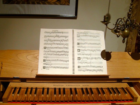 organ4